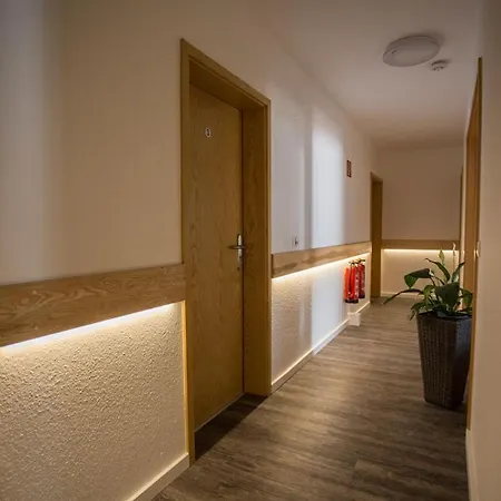 Casa de hóspedes Am Ring Magdeburgo